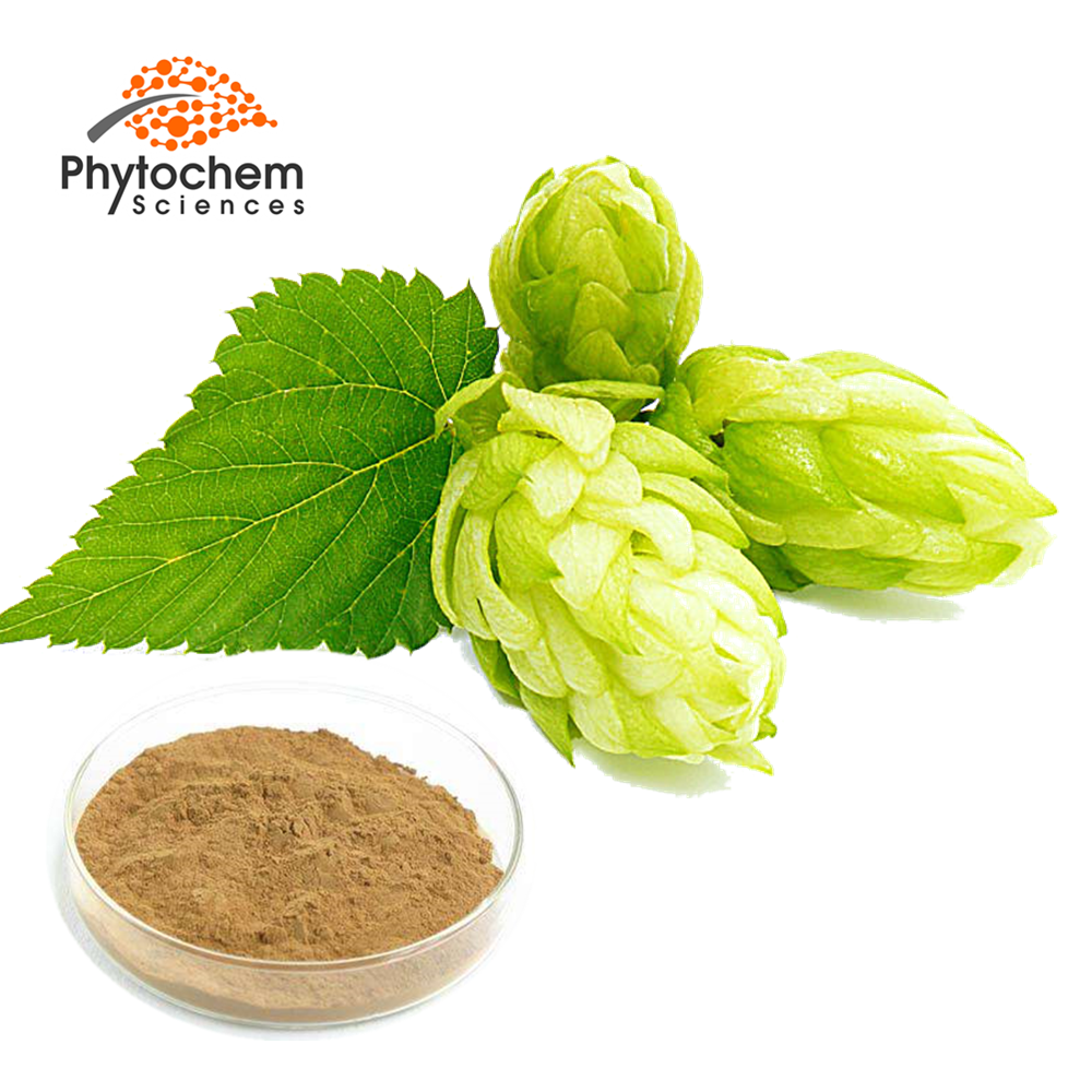 Humulus lupulus lupulin Xanthohumol Flavonoids powder hops flower extract beer hops