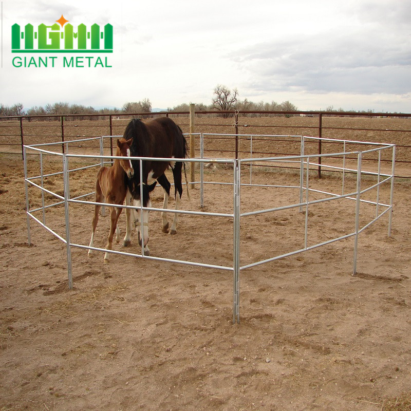 Hot Dipped Galvanized Horse Panel for Livestock