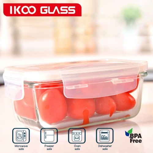 New arrival heat resistent glass travel lunch container box