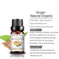 Hot Sale Slimming Essential Oil Ginger Massage Oil