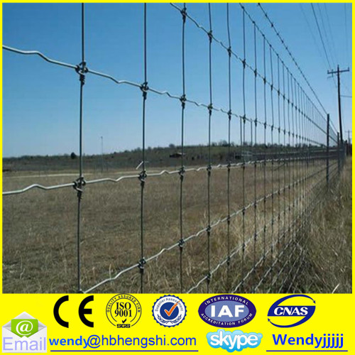 Cattle fence hot sale/cattle fencing panels metal fence