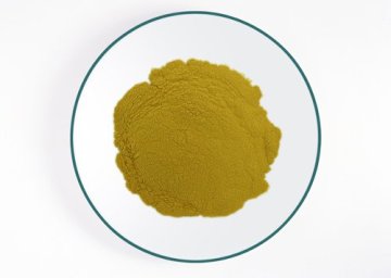 Spray-drying Instant Oolong tea powder(Tie Guanyin)