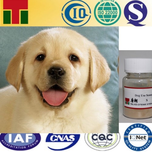 Dog food Flavor Powder/Pet food flavor powder