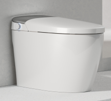 Comfortable and convenient smart toilet