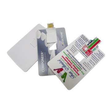 Promotional Custom Credit Card USB Flash Drive