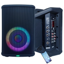 Portable 1000W 8" Guitar PA Speaker System with Rechargeable Battery, LED Lights, Bluetooth & Echo