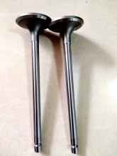 Cummins QSL9 Intake Vlave Exhaust Valve 4981794 4981795