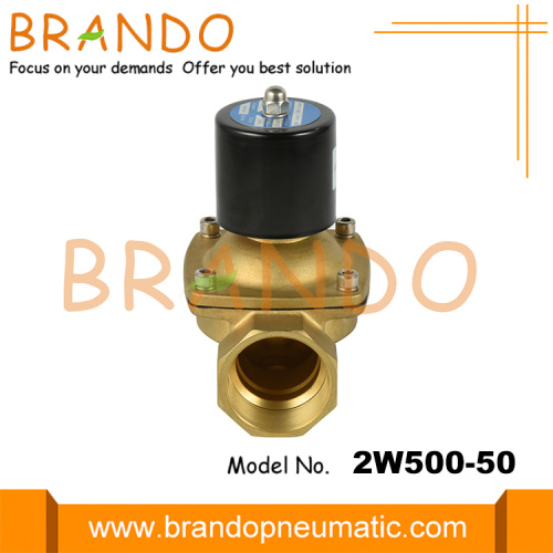 2W500-50 2 &#39;&#39; Pirinç Solenoid Valf 12VDC 24VDC 220VAC