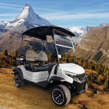 Wholesale High Quality 2 Seat Electric Golf Buggy PREDATOR G2 Carts