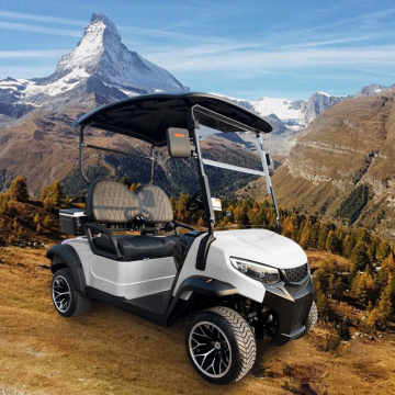 Wholesale High Quality 2 Seat Electric Golf Buggy PREDATOR G2 Carts