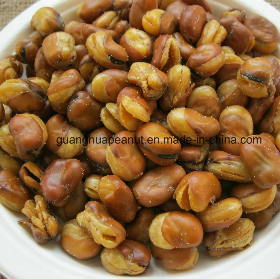 Crunchy and Delicious Fried Broad Beans Snack Food