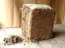 Chinese Cassia broken