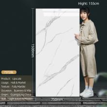 Foshan Ceramics 750X1500mm Floor and Wall Tiles