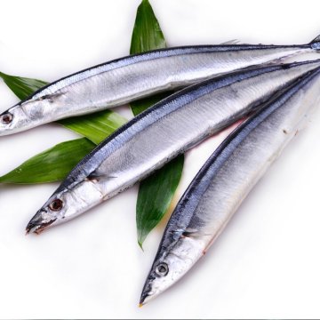 Whole Round Sea Frozen Pacific Saury