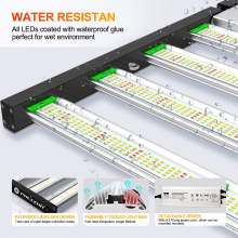 1000W Tumbuhan Perubatan LED Tumbuh Cahaya