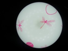 Acrylic LED ceiling lighting