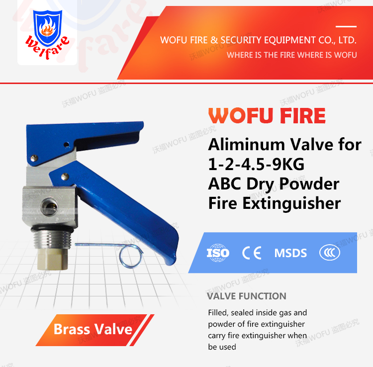 mexico type DCP ABC Fire Extinguisher Valve