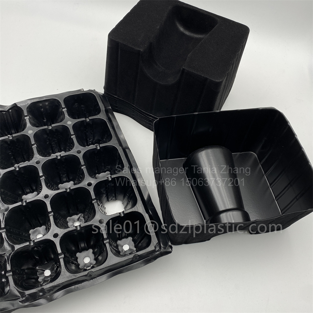 Black Seedling Ps Tray Wine Tray 12 Jpg