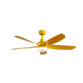 Modern Decorative Ceiling Fan with 5-Blades and LED