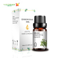 Wholesale bulk pure oregano essential oil bacteriostatic