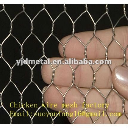 super quality cheap chicken wire mesh (factory)