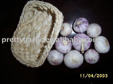 Chinese Single Clove Garlic