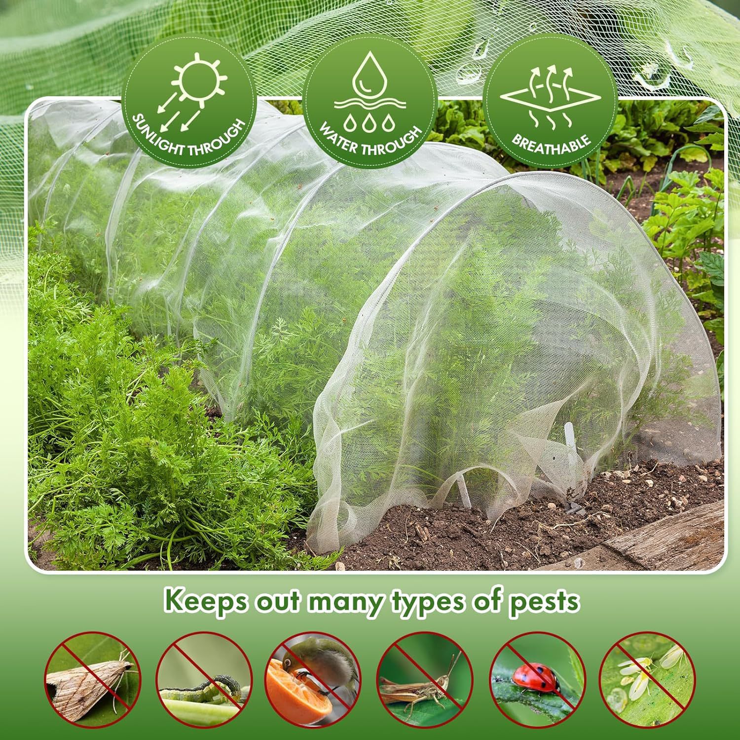 חקלאות מטופלת בחקלאות מטופלת נגד חרקים 50 מטר