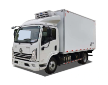 Shacman Specialized Vehicle Refrigerated-Truck