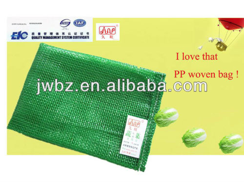 grid mesh bag made of pp,from mainland china