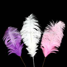 Hot Selling Fancy Colors Artificial Ostrich Feathers