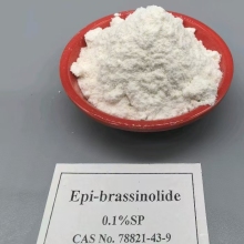 PGR 24 Epi-Brassinolide 0.1%SP