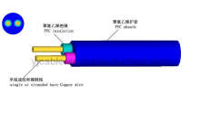 BVV Cable/Wire (YJBVV2501)