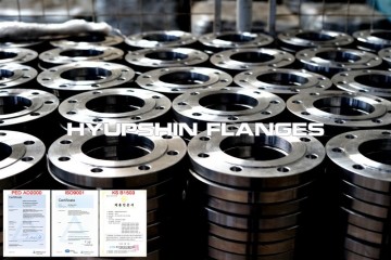 GOST 12821-80 PN16 Weld Neck Forged Flanges