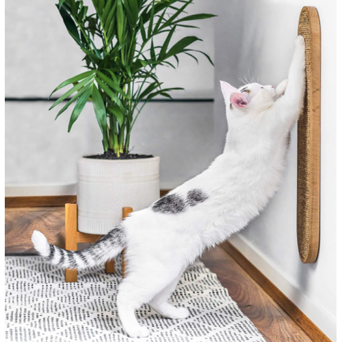 Separador de tablero de sisal duradero para gatito