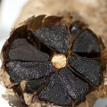 Black Garlics of Containing Fructose