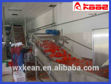 tomato surfing washing machine