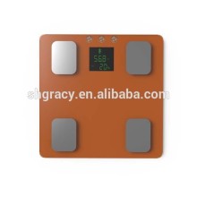 personal electronic body scale