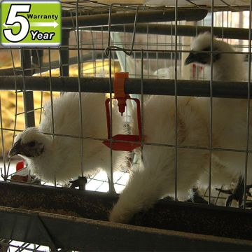 poultry farm use chicken layer cages for laying hen