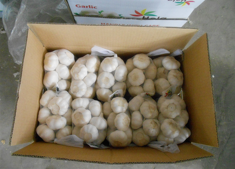 500g garlic in mesh bag