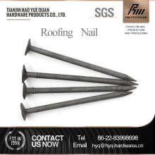 hot dip galvanized felt nails & clout nails promotion