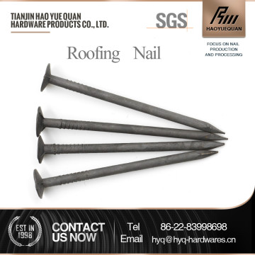 hot dip galvanized felt nails & clout nails promotion