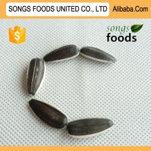 Sunflower Seeds Sellers Best Quality