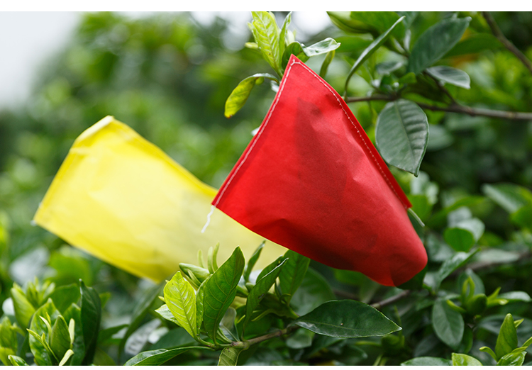 Fruit Basket Wrapping Paper