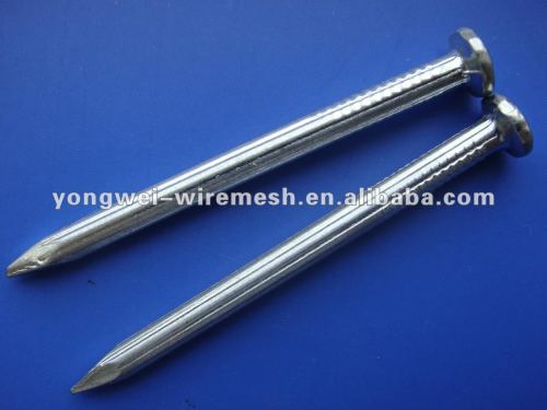 Steel Concrete Nails