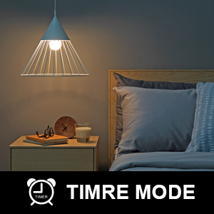 time mode smart bulb