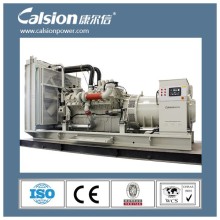 1000kw Industry Diesel Generators Prices for Sale