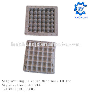 egg trays carton forming mold