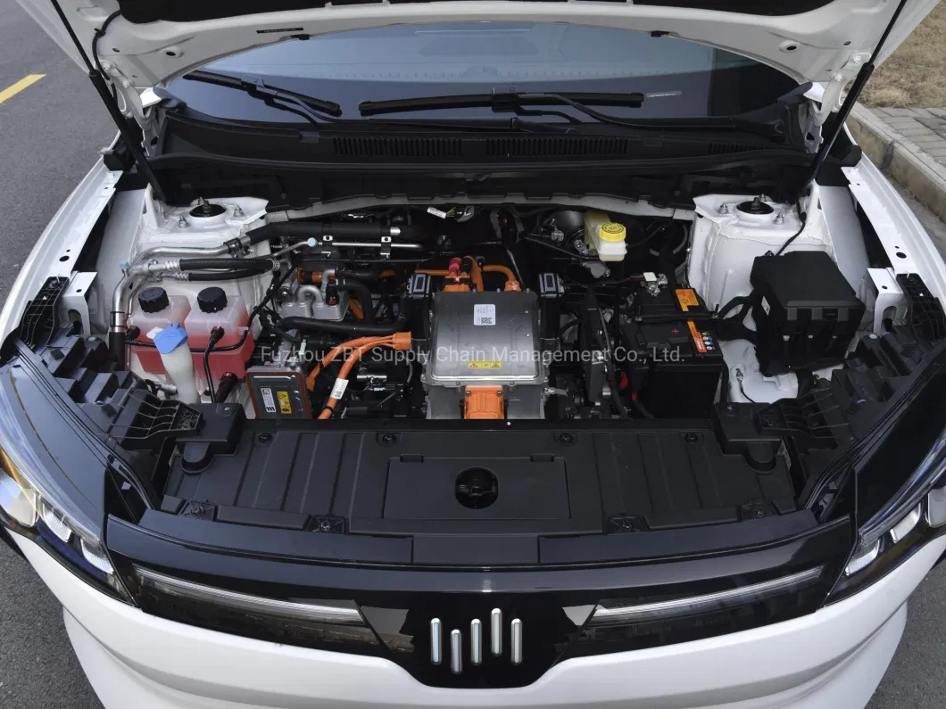 LHD Wm W6 Nedc 520km 620km Smart City SUV 5 Seater 5 Doors Nex PRO Ace 4X2 2WD Electric Car for Private Car