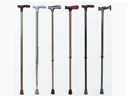 gậy đi bộ walking stick
