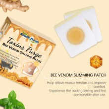 Popular Bee Venom Body Patch for Shaping and Skin Care